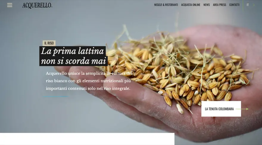 Home page del sito Acquerello, riso italiano di alta gamma